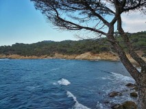 Lardier coastline