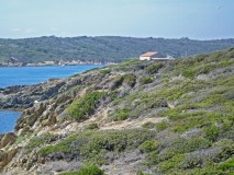 Port Cros Malalongue